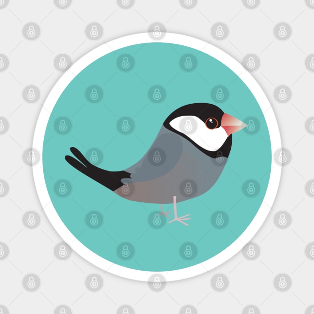 Java sparrow Magnet by Bwiselizzy